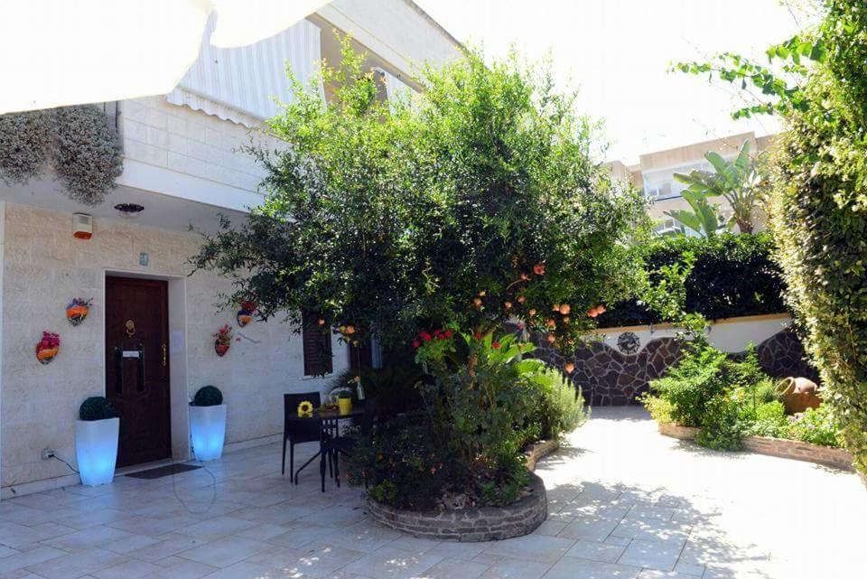 Profumo Di Mare B&B กัลลีโปลี ภายนอก รูปภาพ